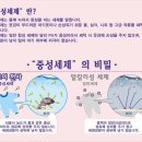 천사의류 이미지