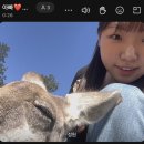 조우MARKET | [호주: 브리즈번, 시드니] 25.07.29~25.08.07