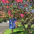 항몽유적지 | 제주 애월 항파두리 항몽유적지 산책코스, 반려견과 함께 즐기는 배롱나무 명소