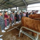 남원축산업협동조합 이미지