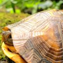 동해-단속-24 이미지