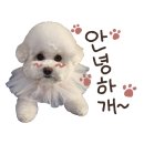 포마이댕 네이버블로그