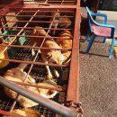 모란가축시장 이미지