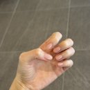 티파니헤어앤네일
