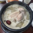 (주)지호삼계탕야탑점 | [분당] 지호한방삼계탕 야탑점 메뉴와 가격 및 시식 후기