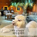 금관빌딩 | 파주 실내동물원 테이블에이 아이와 가기좋은곳 추천