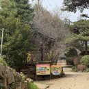 열차빈대떡 | 파주 촌캉스 추천 봄체험 주말 쇠꼴마을 아이랑 가볼만한곳