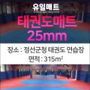 정선태권도체육관 이미지