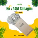 호감 - 강릉시 | 슈데이 호감콜라겐 후기｜저분자피쉬콜라겐, 요즘 이걸로 콜라겐 추천받아요