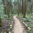 표선가시리민박 이미지