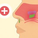 (주)하우메디칼 이미지
