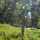 중간자(안양) 이미지