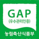 대재농장 네이버블로그
