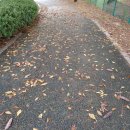 워시존 관저점 이미지