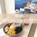 GS25 베르나움점 | 부산 모어샌드위치 해운대 장산점, 장산역 샐러드 맛집에서 피부미인으로 거듭나기