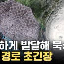 벌써 태풍이?? 제2호 태풍 ‘마와르’ 한국•일본 향해 북상 이미지