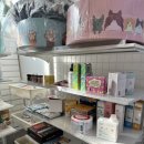 별다방 야옹이 이미지