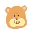 비에이치씨춘천