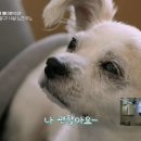 하트펫 동물병원 이미지