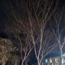 가창로84길 이미지