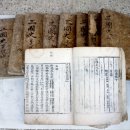 유림-1146 | 안강 옥산