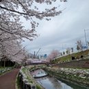 해수천2호 이미지