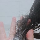 쇼마 헤어