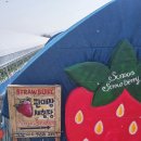 수문농장 이미지