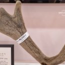 맘앤키즈한의원 이미지