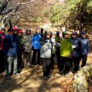 제194차 산행기 - 구봉산, 엄광산, 대신공원, 꽃마을 이미지