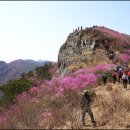 (4월산행 등산 정보) 봄 산행 봄 등산 이미지