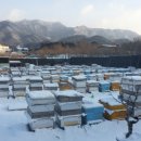 힘찬농장 이미지