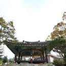 영광 침류정 이미지