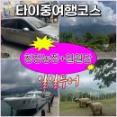 대만타이중여행 칭징농장 일월담 유람선 일일투어