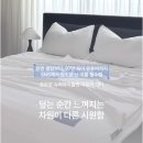 하이쿨 네이버블로그