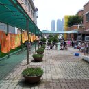 비봉유치원 이미지