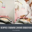 옥내과의원 | 봄맞이 다이어트 명동 한의원 체험 후기 다이어트 한약 포함