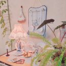 카페로랑 이미지