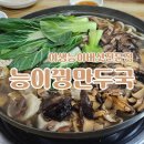 능이꿩만두국