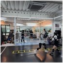 원포인트복싱짐 | 일산복싱 다양한 복싱 경험을 선사하는 원포인트복싱짐 탐방기