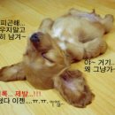 참 이미지