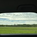 투머치목장 이미지