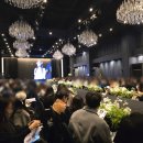 팔팔장 | w17. 웨딩스퀘어 드레스쇼 2025 s/s 그랜드힐스턴 + 앤유 김동건 사회자