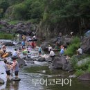 (주)자연의모든것 이미지