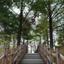 권선중앙공원 배드민턴장