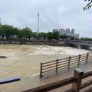 [실천학교]내 사주는 내가 본다, 쉬운 명리학 | 날씨 그리고 취향