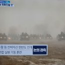 골드버거 이미지
