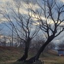 전천 | 동해 전천강 트레킹 후기