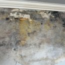 후곡마을(3) | 일산도배 후기｜일산 서구 일산동 후곡마을 3단지 누수 실크도배