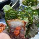 울릉도윤아농원민박 | 울릉도 북면 윤아농원 펜션 후기